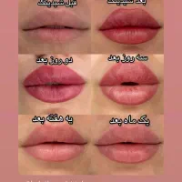 شیدینگ لب|خدمات آرایشگری و زیبایی|ابهر, |دیوار