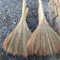 جارو خانگی( سوپرگه)