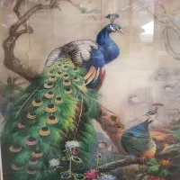 کاشی کاری|خدمات پیشه و مهارت|لردگان, |دیوار