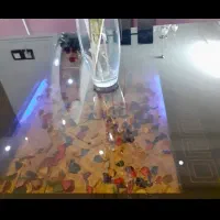 میز ناهار خوری|میز و صندلی غذاخوری|شیراز, وحدت|دیوار