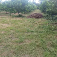 خدمات باغچه شامل هرس سمپاشی علف تراشی نگهداری باغ