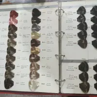 کاتولوگ رنگ