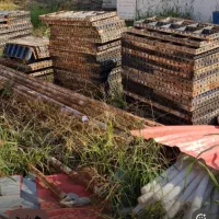 فروش قالب بتن ولوله داربست