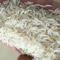 فروش برنج محلی فریدونکنار