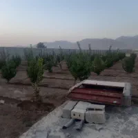 باغ-چهار-دیواری-خوشقواره-2450-متری