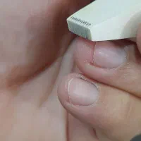 تیغ|ابزارآلات|شاهیوند, |دیوار