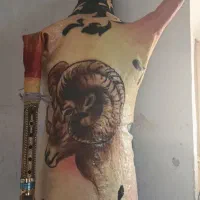 فروش نی انبان