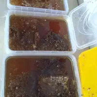 عسل چهل گیاه به تضمین