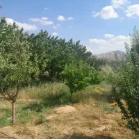 باغ|فروش زمین و ملک کلنگی|گرمخان, |دیوار