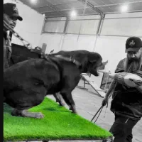 ماده روتوایلر فول اموزش استسنائی و‌ خاص (نگهبان)