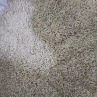 برنج نمیدانه|خوردنی و آشامیدنی|میانه, |دیوار