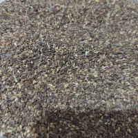 تعدادی کیسه کنجد درجه یک بدون اشغال