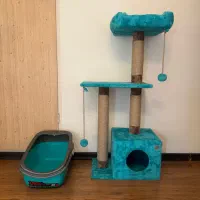 درخت گربه اسکرچر و ظرف خاک