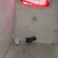 سلام دوتا سید پرشی میذون