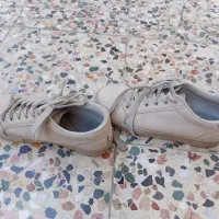 کفش|کیف، کفش، کمربند|ایذه, |دیوار