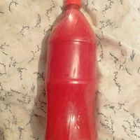 سس تند