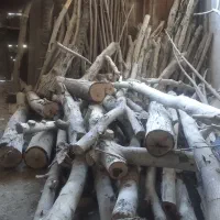 چوب گردو