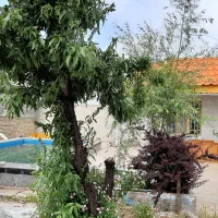 ۱۰۰۰م شهرک صنعتی توس انبار کارگاه سوله برق سه فاز|فروش دفتر صنعتی، کشاورزی، تجاری|مشهد, شهرک صنعتی توس|دیوار