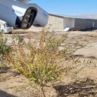 امنیت دوربین مداربسته دزدگیر اماکن|دوربین مداربسته|ابهر, |دیوار