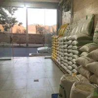 پخش برنج هاشمی سرلاشه هاشمی نیمدانه|خوردنی و آشامیدنی|کرج, حصارک بالا|دیوار