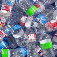 ضایعات بالاترین قیمت