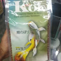 غذا مخصوص کوی