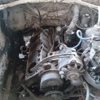 پیکان پژویی