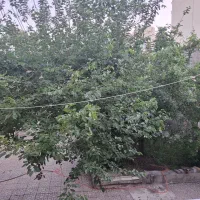 اجاره-خانه