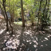 سرمایهگذاری مطمئن و پرسود در قلب منطقه ارنگه|فروش زمین و ملک کلنگی|تهران, زاهد گیلانی|دیوار