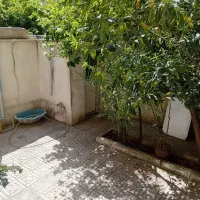 خانم ویلایی ،طبقه همکف