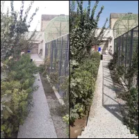 خدمات حرفه‌ای فضای سبز ، ویزیت رایگان|خدمات باغبانی و درختکاری|کرج, فاز ۳ مهرشهر|دیوار