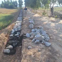 زمین به پلاک های ۵۰۰ ، ۱۰۰۰ متری بفروش می رسد|فروش دفتر صنعتی، کشاورزی، تجاری|شوشتر, |دیوار