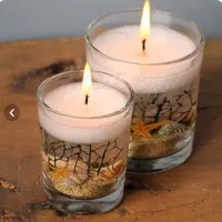 انواع شمع های دریایی