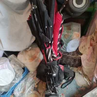 کالسکه بچه مک لارن