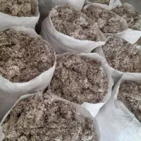 پنبه دانه مبلی|عمدهفروشی|اصفهان, پوریای ولی|دیوار