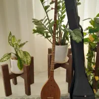 سه تار شیدا