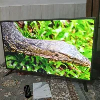 تلوزیون الیدی ۴۳ الجی اصل کره در حد نو|تلویزیون و پروژکتور|مشهد, شهید معقول|دیوار