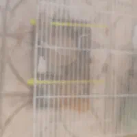 قفس پرنده