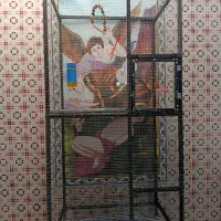 قفس پرنده بزرگ|لوازم جانبی حیوانات|شیراز, سجادیه|دیوار