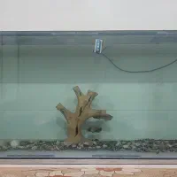 آکواریوم بزرگ