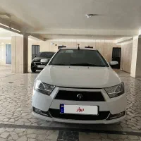 دنا معمولی خانگی