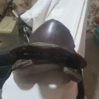 فروش زین اسب|اسب و تجهیزات اسب‌سواری|دورود, |دیوار