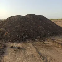 کودگوسفندی|خدمات باغبانی و درختکاری|یزد, |دیوار