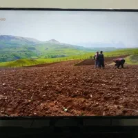 فروش تلوزیون ال ای دی ۵۰ اینچ نکسار|تلویزیون و پروژکتور|مبارکه, |دیوار