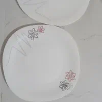 برنج خوری ودیس|ظروف سرو و پذیرایی|رشت, فلسطین|دیوار