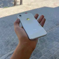 آیفونxr