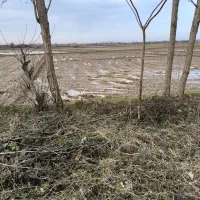 زمین کشاورزی مکانیزه|فروش دفتر صنعتی، کشاورزی، تجاری|لاهیجان, لیالستان|دیوار