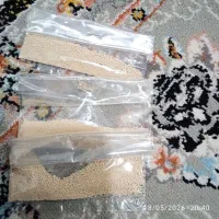 پودرپاک کننده شپش وتخم شپش  80000