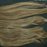 تاروپودش طلایی باشه