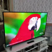 50اینچLEDکره ای اصل تمام صفحه نازک درحداک نونو